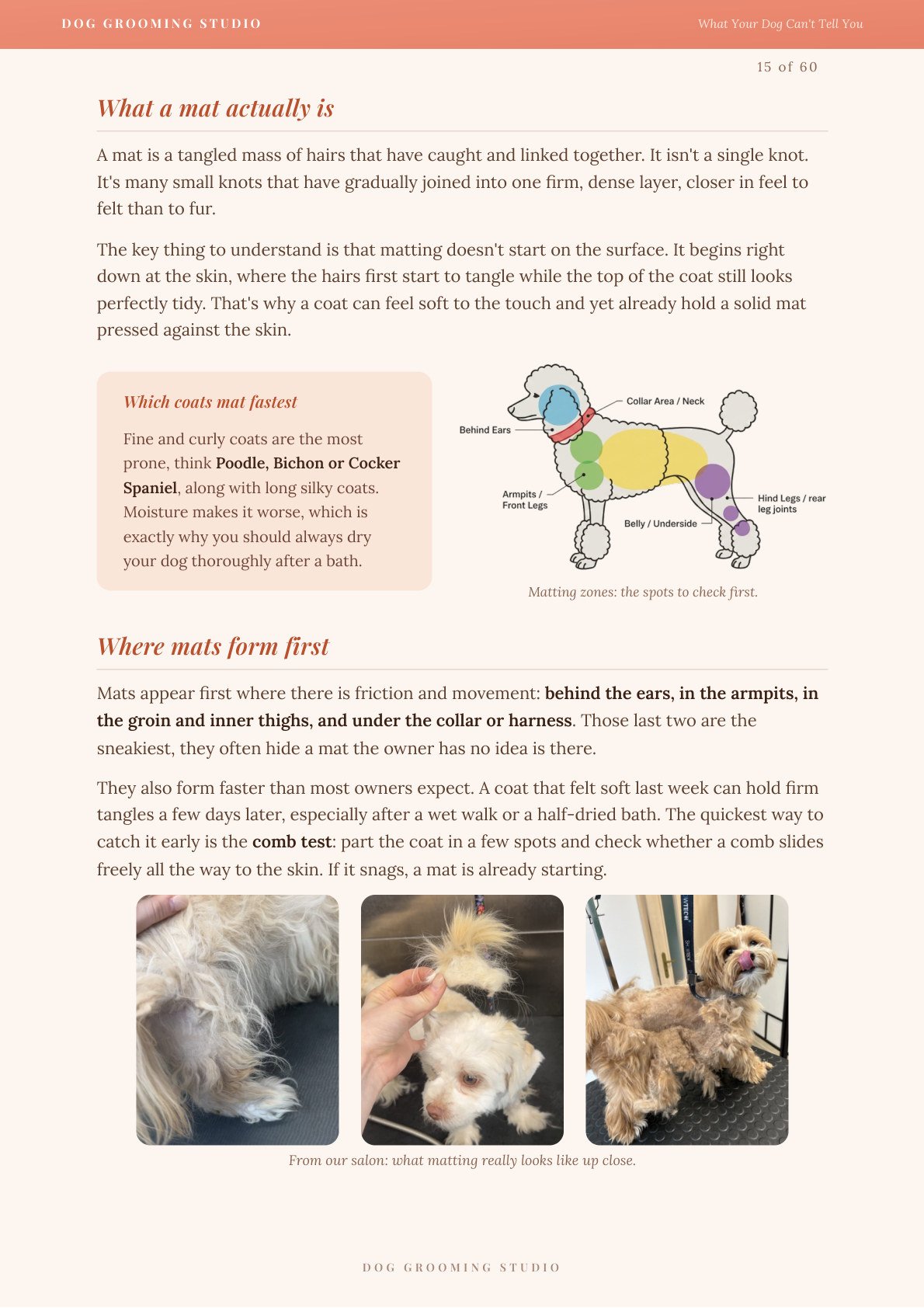 Book page: what a mat actually is, and where mats form first