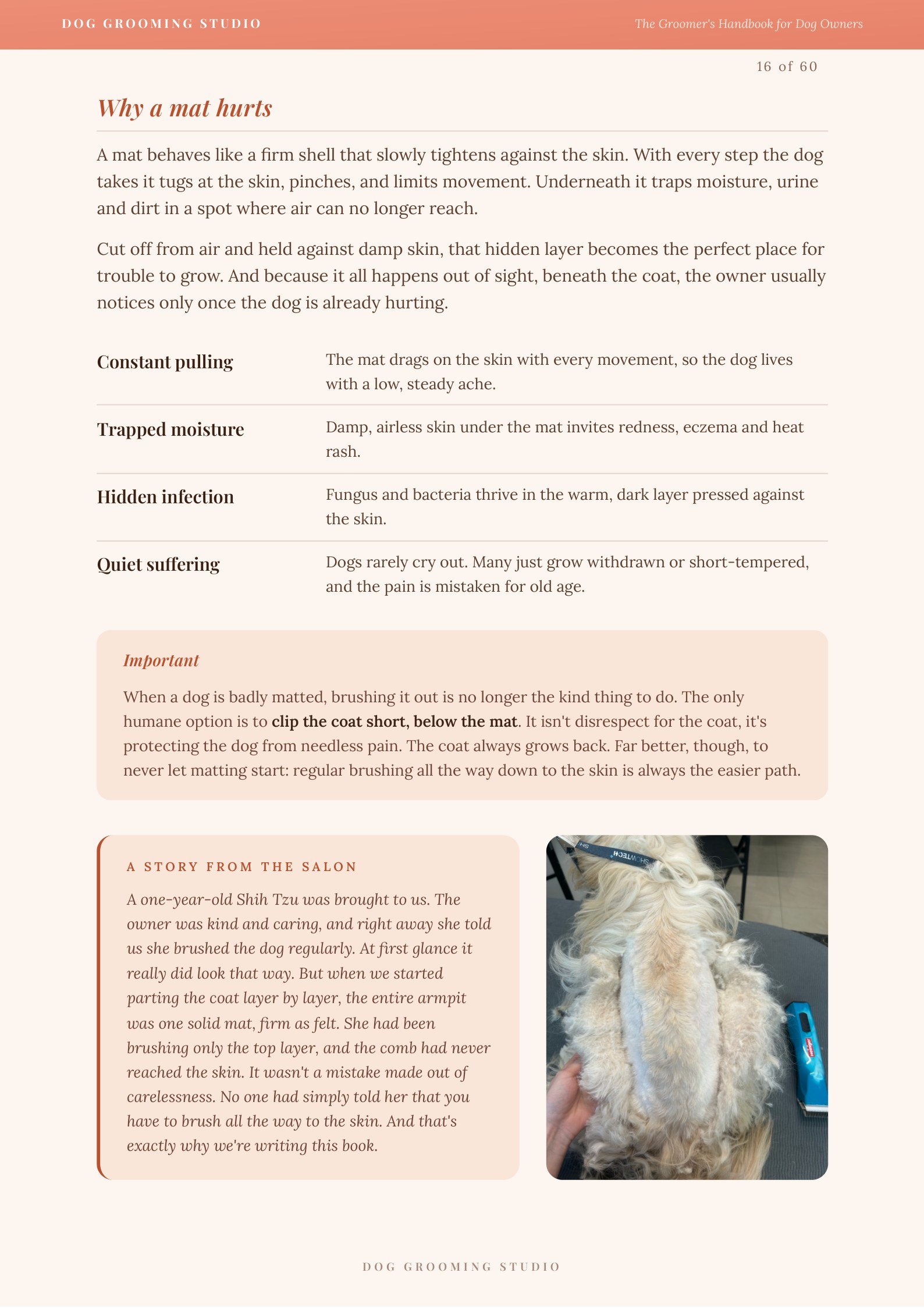 Book page: why a mat hurts, and a story from the salon