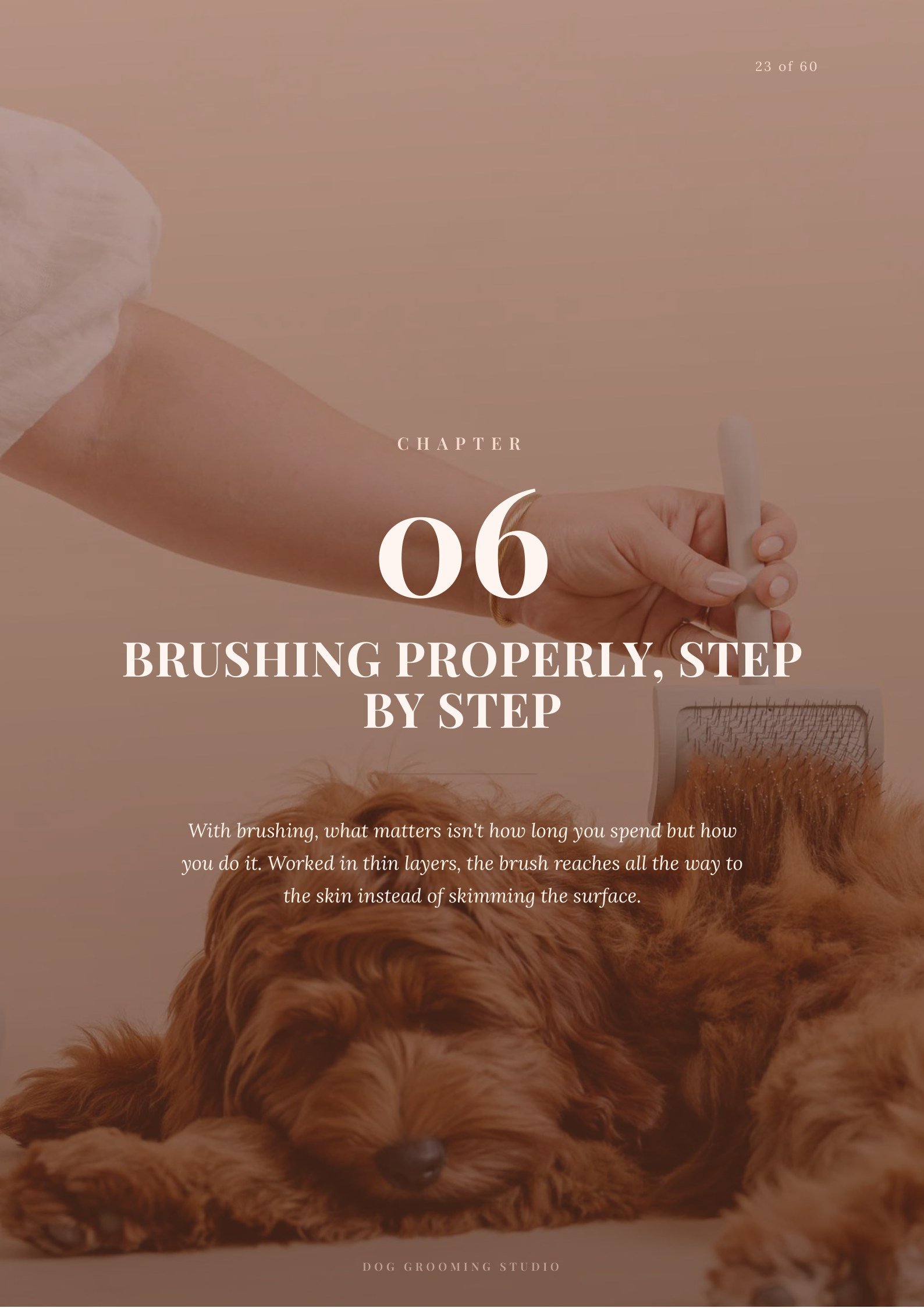 Book chapter: brushing properly, step by step