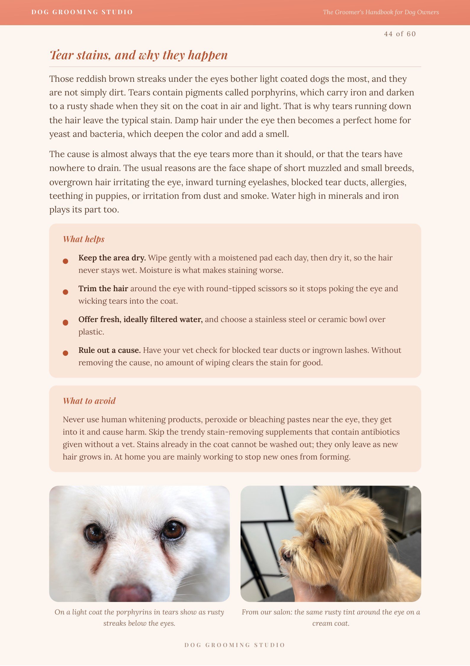 Book page: tear stains, why they happen and what helps