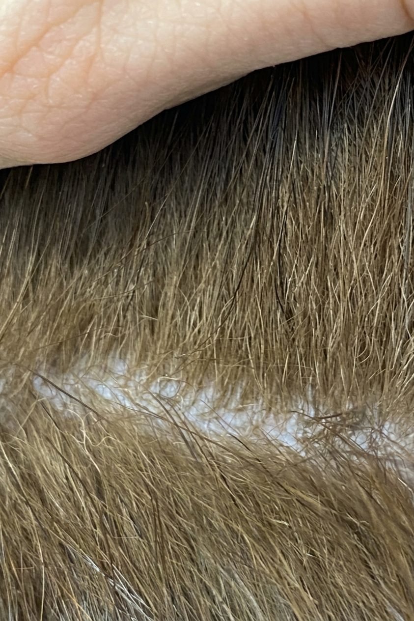Clean skin and a glossy coat