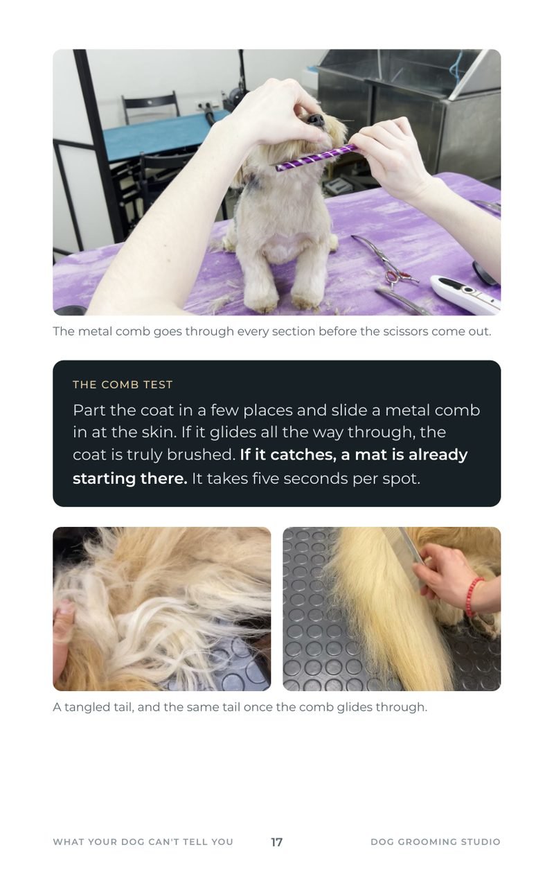 A tangled tail before and after combing