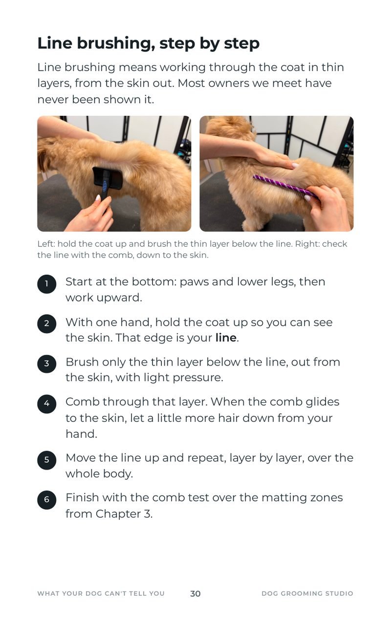 Line brushing step by step