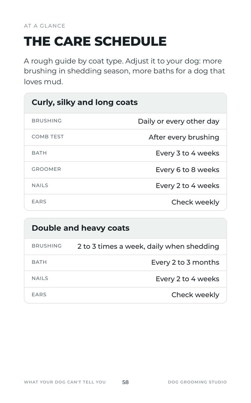 The care schedule