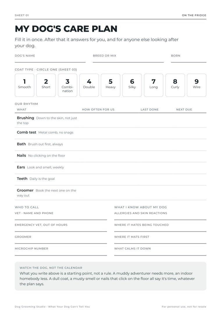 My Dog's Care Plan sheet