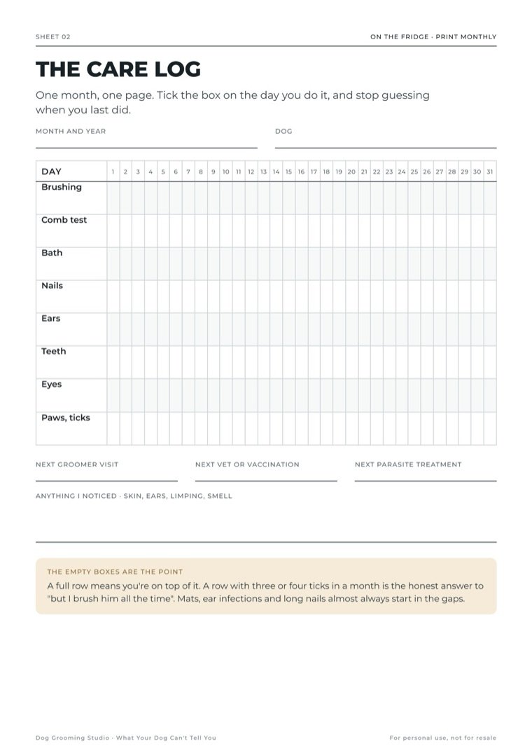 The Care Log sheet